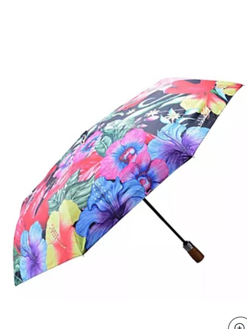 Anuschka Printed Umbrella